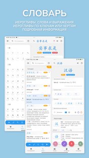 Chinese Guru 3.1.4. Скриншот 14