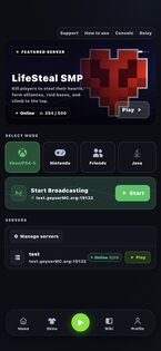 MCCompanion 5.0.0. Скриншот 3