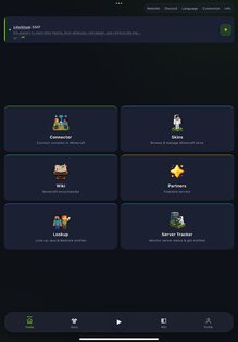 MCCompanion 5.0.0. Скриншот 9
