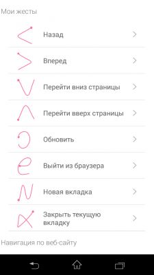 Браузер Dolphin получил официальную русскую локализацию