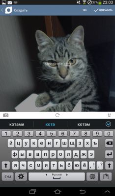 Обзор приложения для анонимного общения в сети — HornApp для Android и iOS