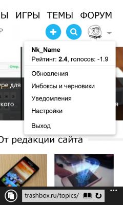 Баг с голосами
