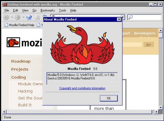 10 лет прошло с момента выхода первой стабильной версии Firefox