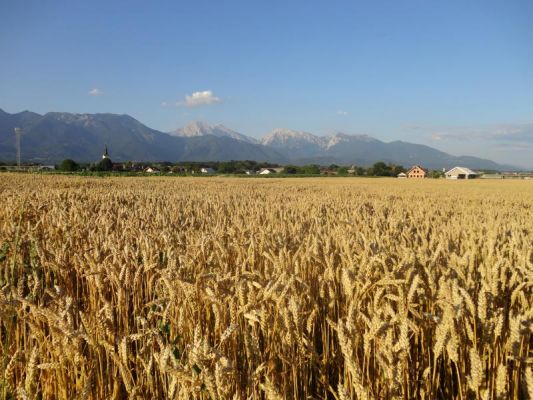 15 передовых военных исследовательских проектов DARPA