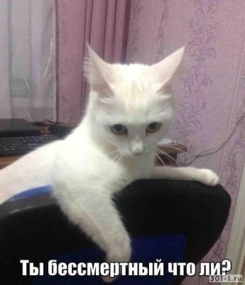 __TCAPT__