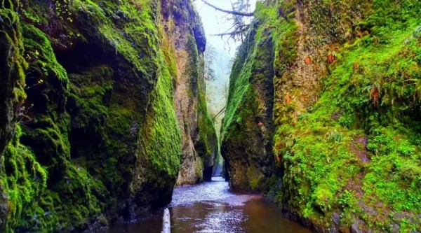 Примеры фотографий, сделанных на камеру LG G4