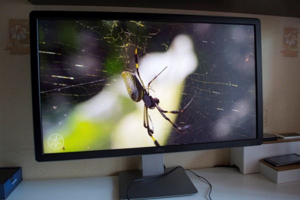 Обзор 4K-монитора Dell UP3214Q