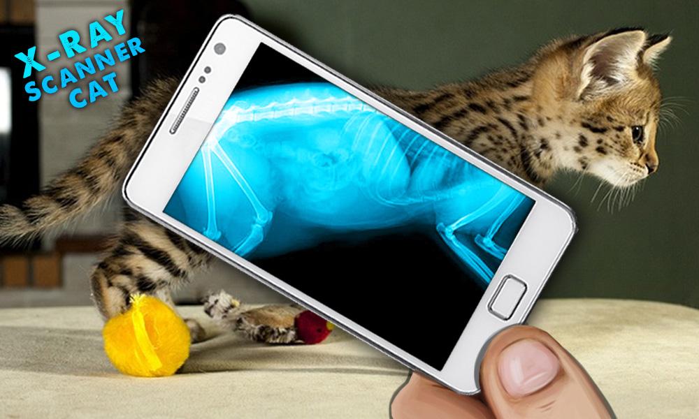 Рентгеновский Сканер Кот 1.0. Скриншот 2