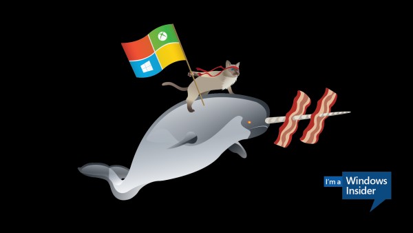 Новые обои от Microsoft: ниндзя-кот верхом на динозавре, нарвале и единороге