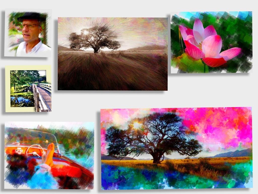 PhotoViva 3.16. Скриншот 6