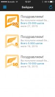Обзор приложения Garmin Connect