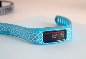 Обзор Garmin Vívofit 2