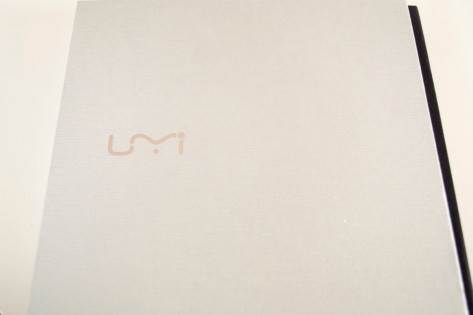 Обзор UMI Hammer S