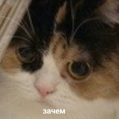 __TCAPT__