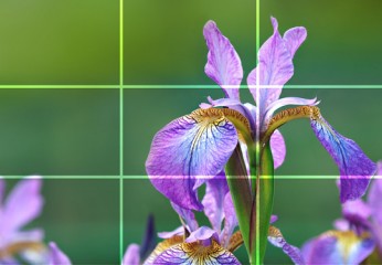 Как делать отличные фотографии на смартфон
