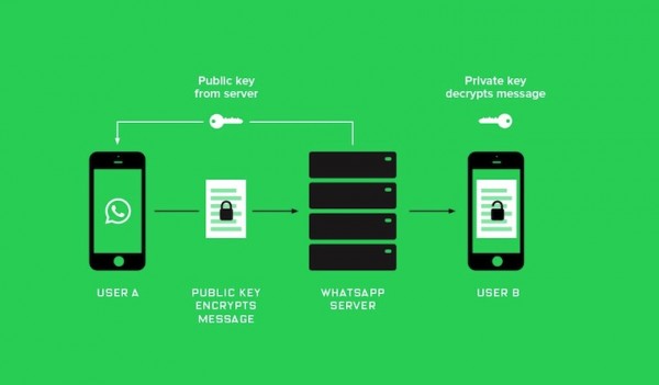 В WhatsApp* заработало полное шифрование сообщений