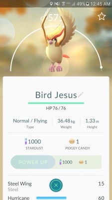 Pokemon GO: обзор и гайд по ловле покемонов