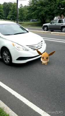 Pokemon GO: обзор и гайд по ловле покемонов