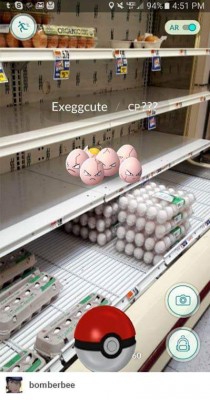 Pokemon GO: обзор и гайд по ловле покемонов