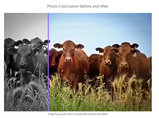 Запущен сервис глубокого анализа фотографий