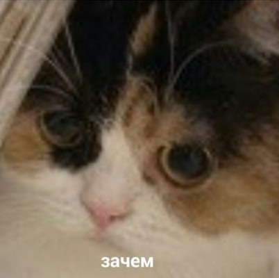 __TCAPT__
