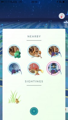 Свежее обновление Pokemon GO принесло траву и несколько исправлений