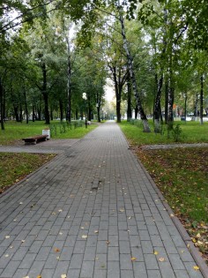Смартфоны TP-Link Neffos C5 и C5 Max – сравнительный обзор