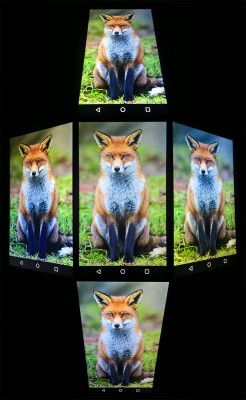 Сравнительный обзор Wileyfox Spark и Spark+