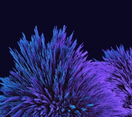 Стандартные обои из всех версий Android