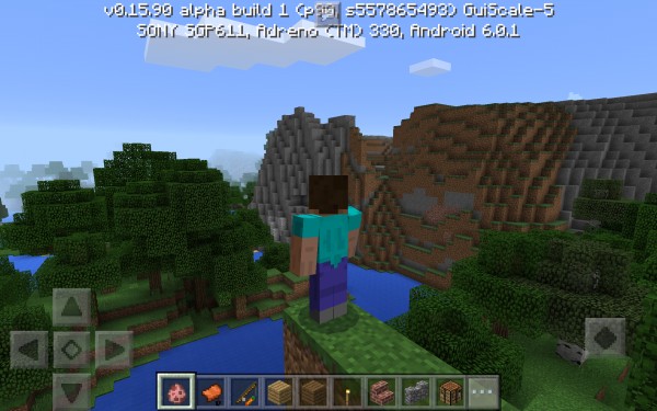 Что такое Майнкрафт: с чего начать?