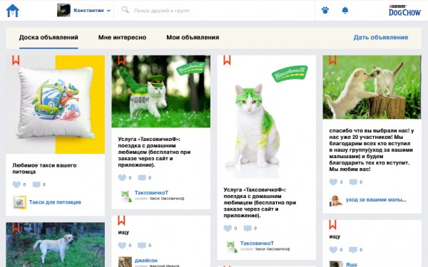 «ДружОК» — новая соцсеть для животных от создателей «Одноклассников»