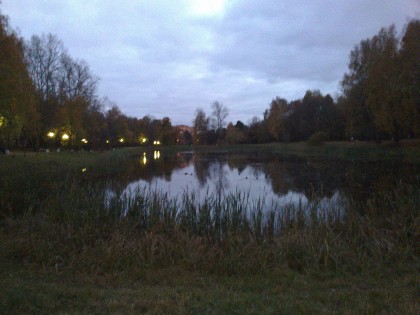 Обзор Philips S326