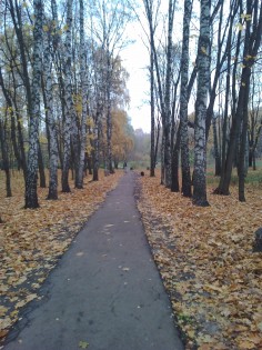 Обзор Philips S326