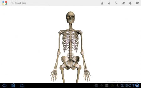 Google Body 1.2. Скриншот 1