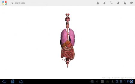 Google Body 1.2. Скриншот 2