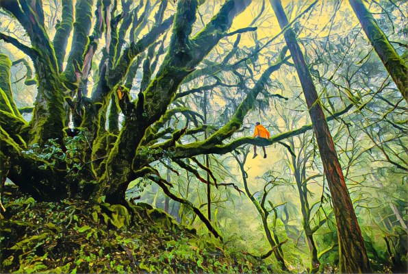 Обновление Prisma улучшает качество фото и внедряет новостную ленту