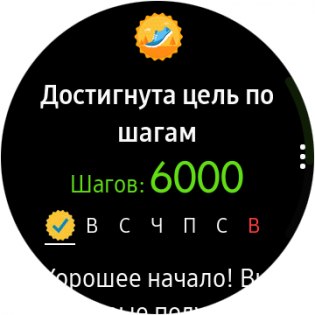 Обзор умных часов Samsung Gear S3 — S Health. 10