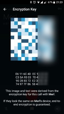В Telegram уже тестируются звонки
