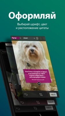 Приложение «Поэтайзер» подбирает красивые слова к фотографиям