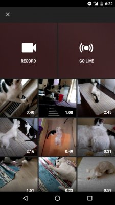 Прямые трансляции на YouTube доступны всем без ограничений