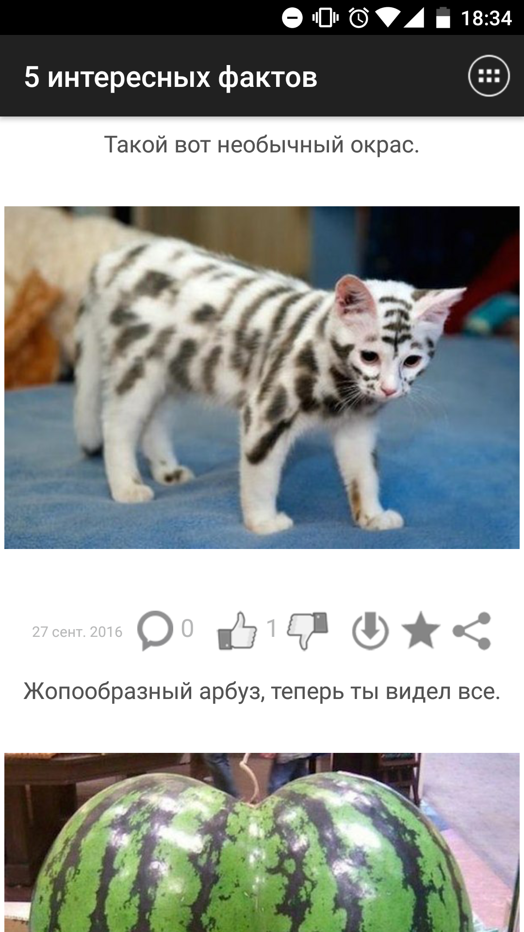 5 Интересных Фактов 1.10. Скриншот 5