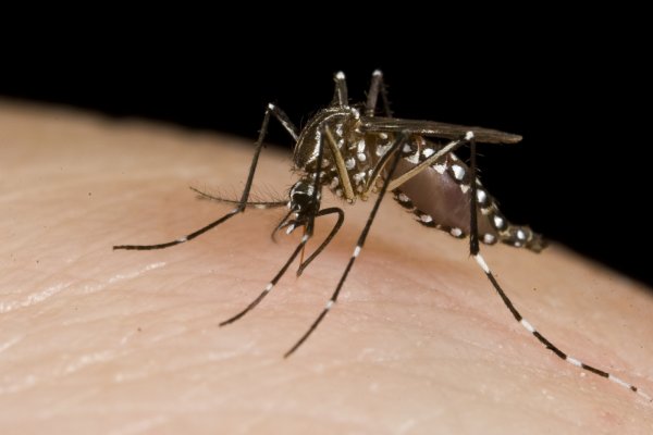 Что такое CRISPR — технология, которая изменит мир