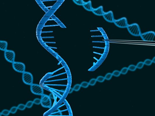 Что такое CRISPR — технология, которая изменит мир