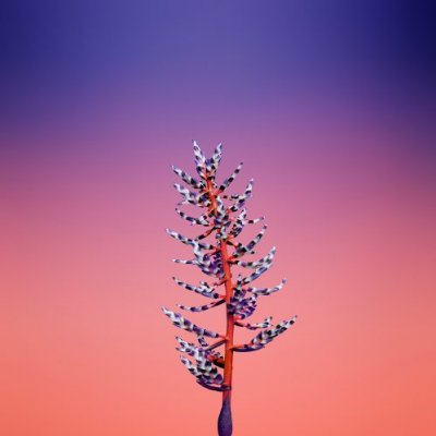 Обои из iOS 11 попали в сеть