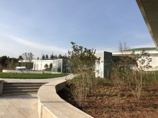 Мнение: iPhone 8 (Plus) стар и скучен — Камера. 5