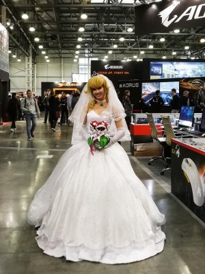 Выбираем лучшую девушку Comic Con и ИгроМир 2017