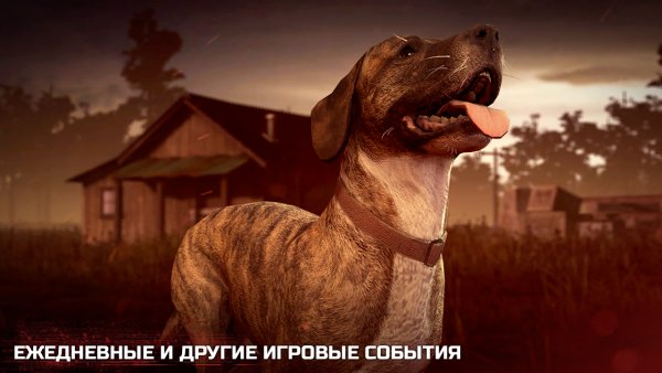Состоялся глобальный релиз шутера Into The Dead 2