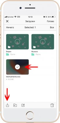 Как сделать живые обои для iOS 11 из любого видео
