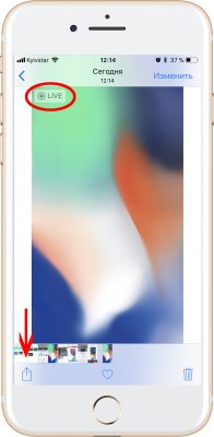 Как сделать живые обои для iOS 11 из любого видео