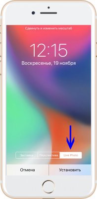Как сделать живые обои для iOS 11 из любого видео